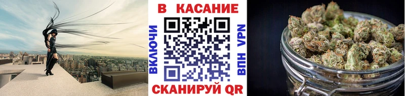 Канабис Карачев