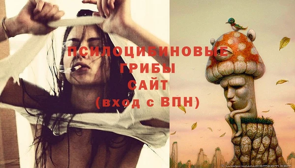 гашик Алзамай