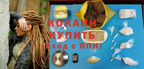 спайс Покачи