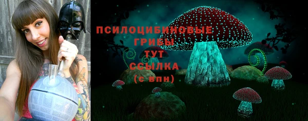 амфетамин Алексин