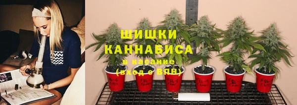 твердый Армянск