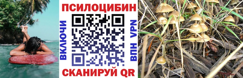 Галлюциногенные грибы MAGIC MUSHROOMS  omg ТОР  Карачев 
